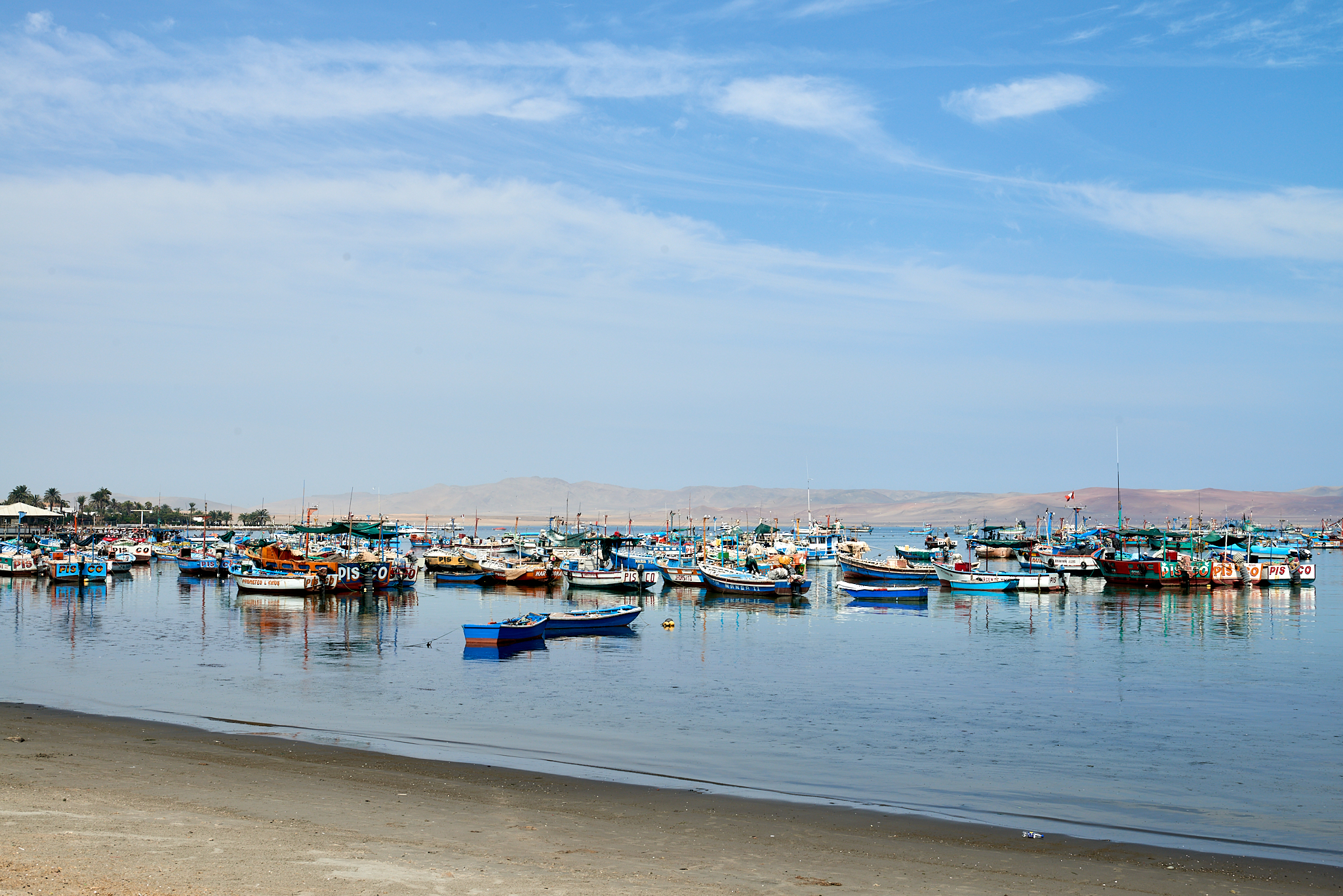 20200304 084 [페루] 바예스타섬